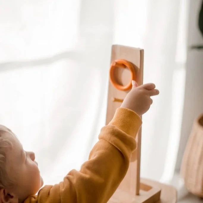 Sorting ring toss