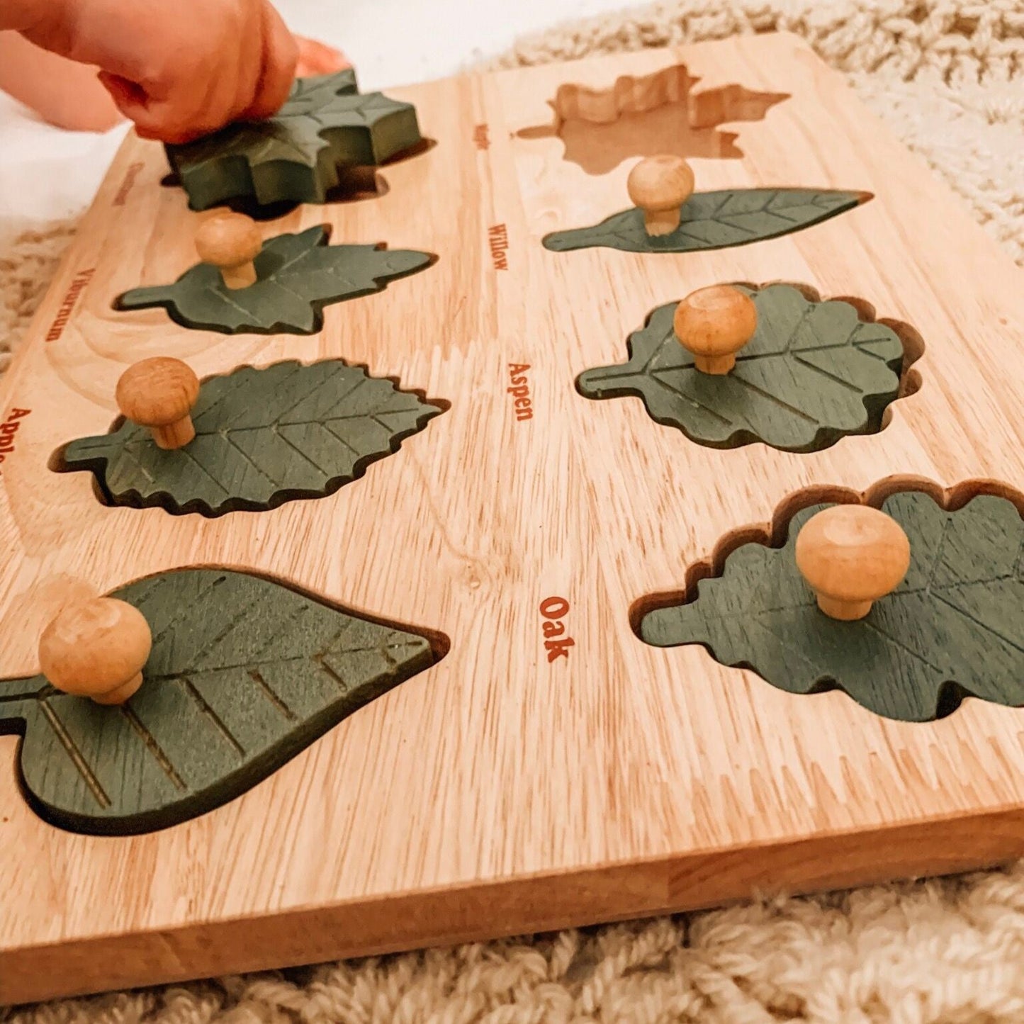 Leaf puzzle