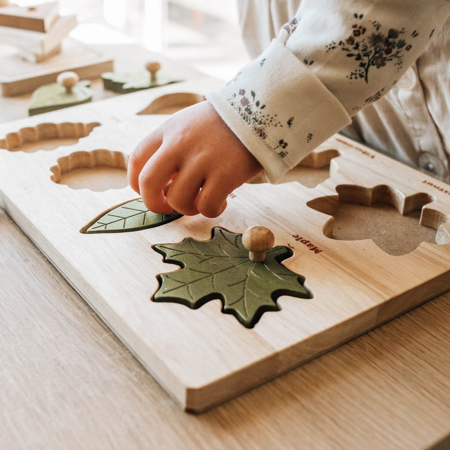 Leaf puzzle