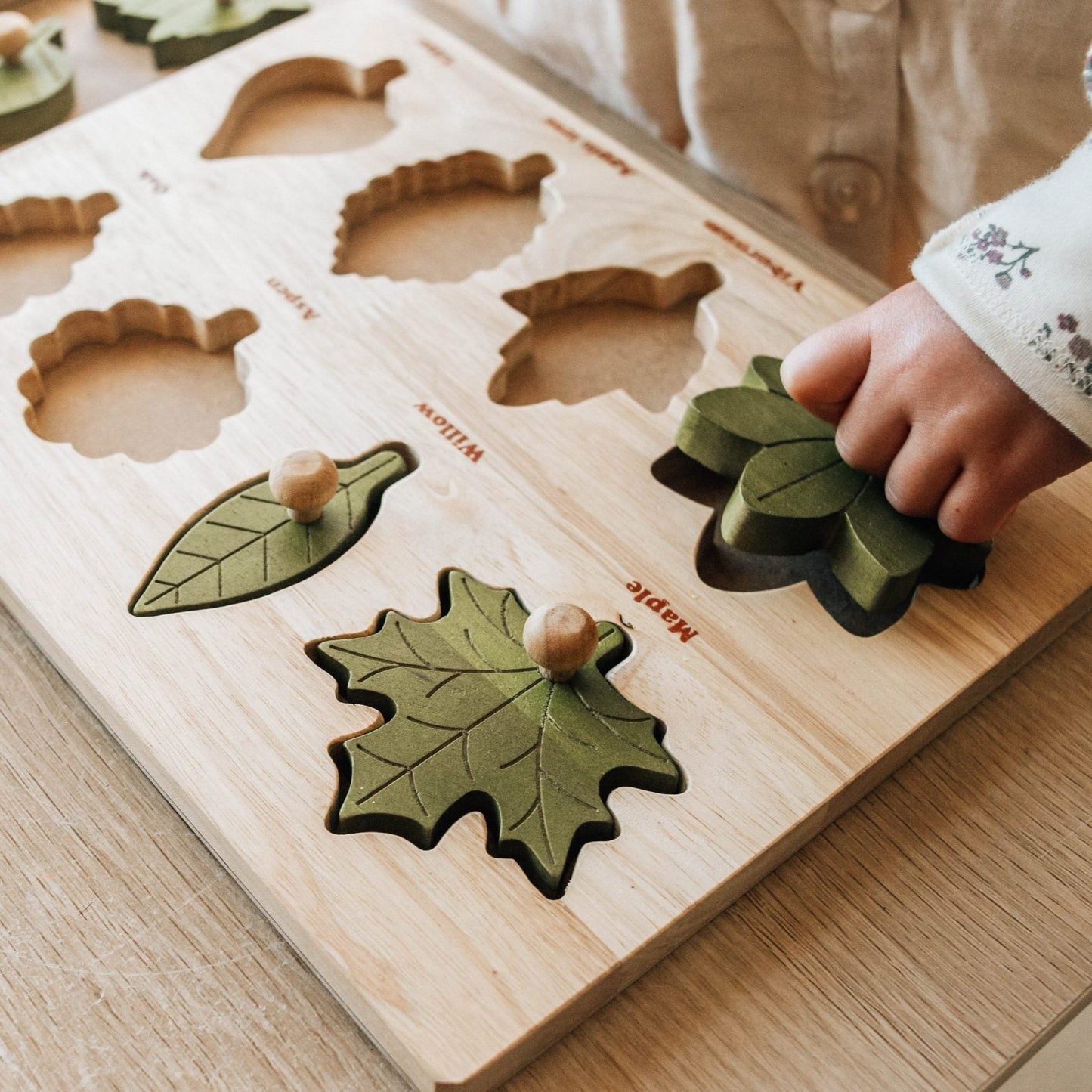 Leaf puzzle